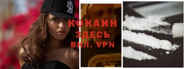 мяу мяу мука Дмитриев