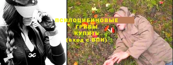 apvp Гусиноозёрск