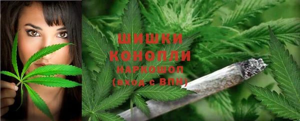 гидропоника Дмитров