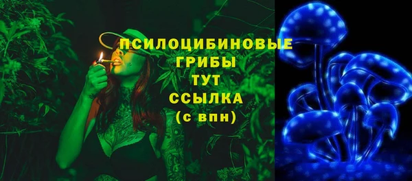 мяу мяу мука Дмитриев