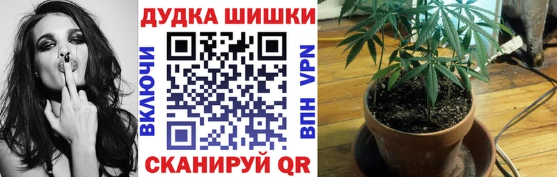 Бошки марихуана Amnesia Шебекино